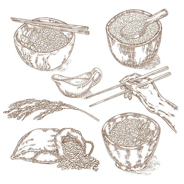 Thaise jasmijn rijst in een kom. Hand met stokjes. Hand getrokken — Stockvector