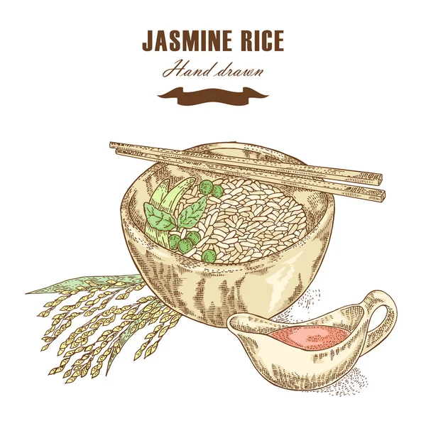 Arroz de jazmín tailandés en un bol. Planta de arroz dibujada a mano. Vector — Archivo Imágenes Vectoriales