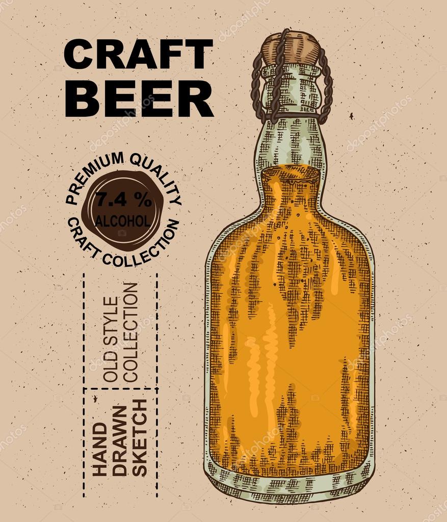 Hand drawn bottle with beer. Alcohol drink sketch vector illustration