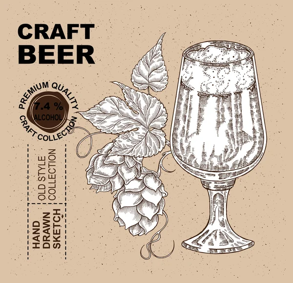 Verre à bière dessiné à la main avec plante de houblon. alcool boisson croquis vect — Image vectorielle