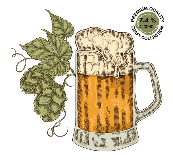 Hand getekend bierglas met hop plant. Alcohol drinken schets vect — Stockvector