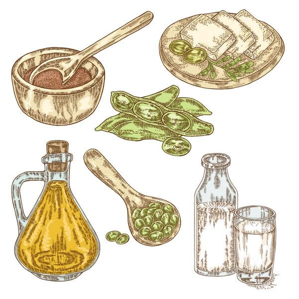 Produits de soja dessinés à la main. Huile de soja, sauce, soja, lait de soja et — Image vectorielle