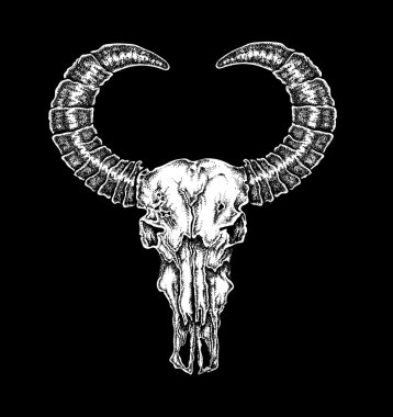 El çizilmiş nokta iş dövme stil bizon kafatası. Kızılderili 