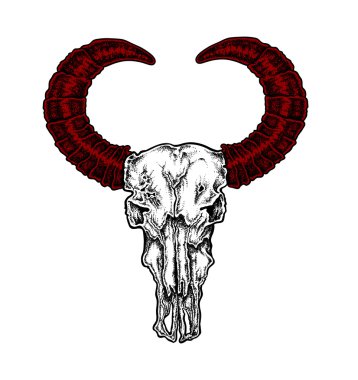 El çizilmiş nokta iş dövme stil buffalo skull kırmızı boynuzlu. N