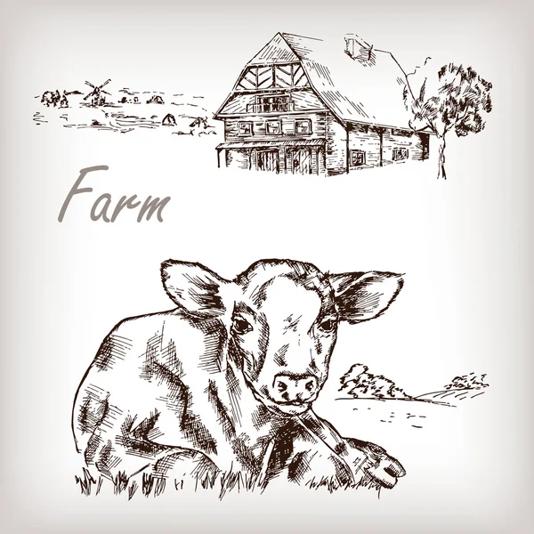 Boerderij set. Vectorillustratie. — Stockvector