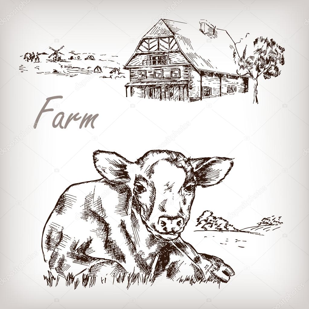 Farm set. Vector illustration.