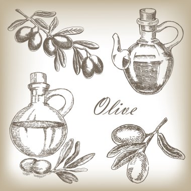 El zeytin çekilmiş. Vektör çizim.