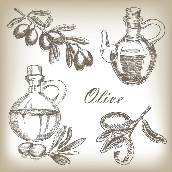 Olive dessinée à la main. Illustration vectorielle . — Image vectorielle