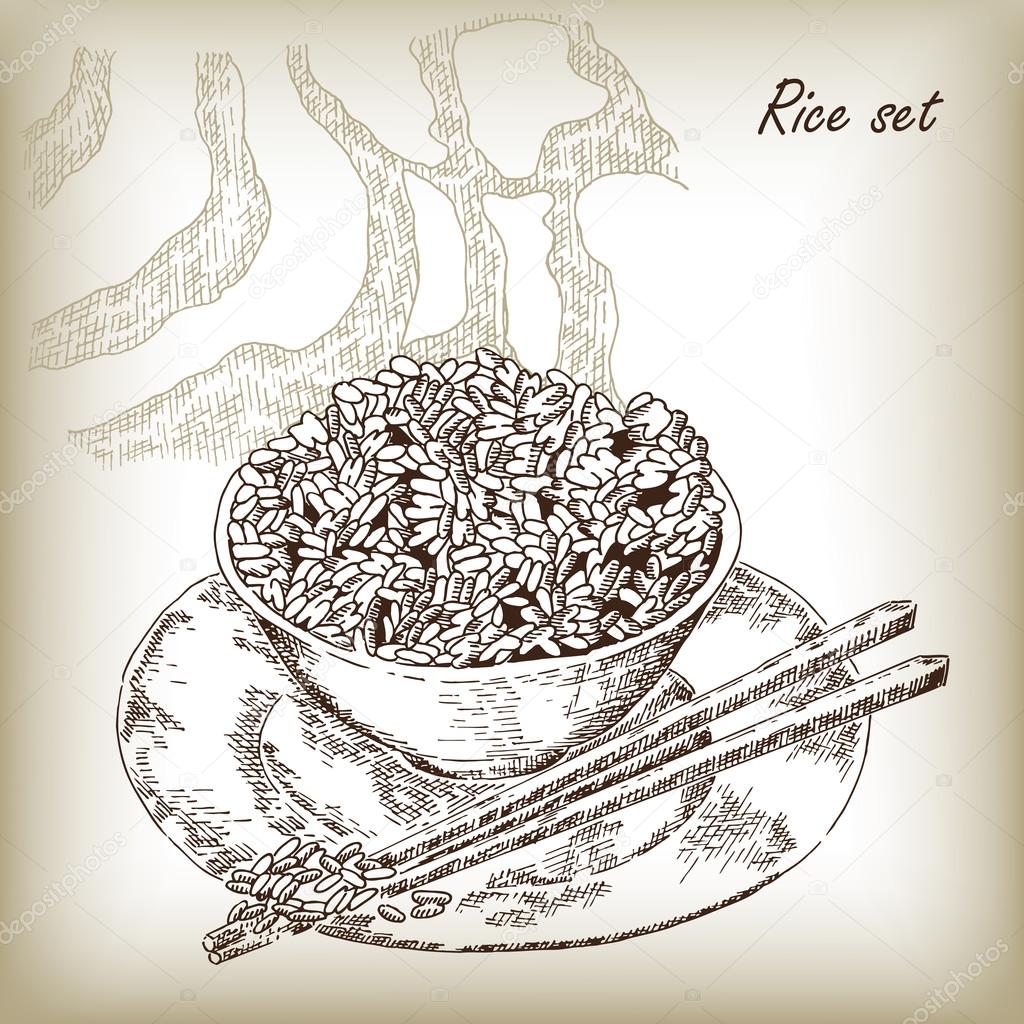 Rice set. Vector illustration in sketch style