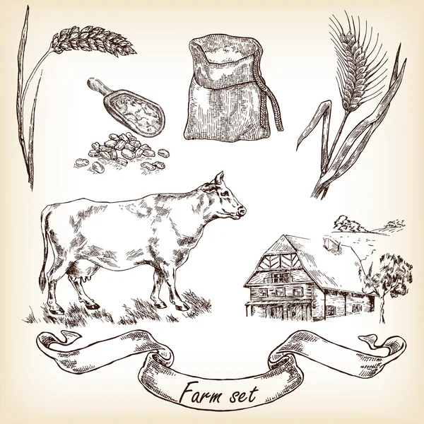 Cow, farm house, wheat. Vector Royalty Free Stock Illustrations