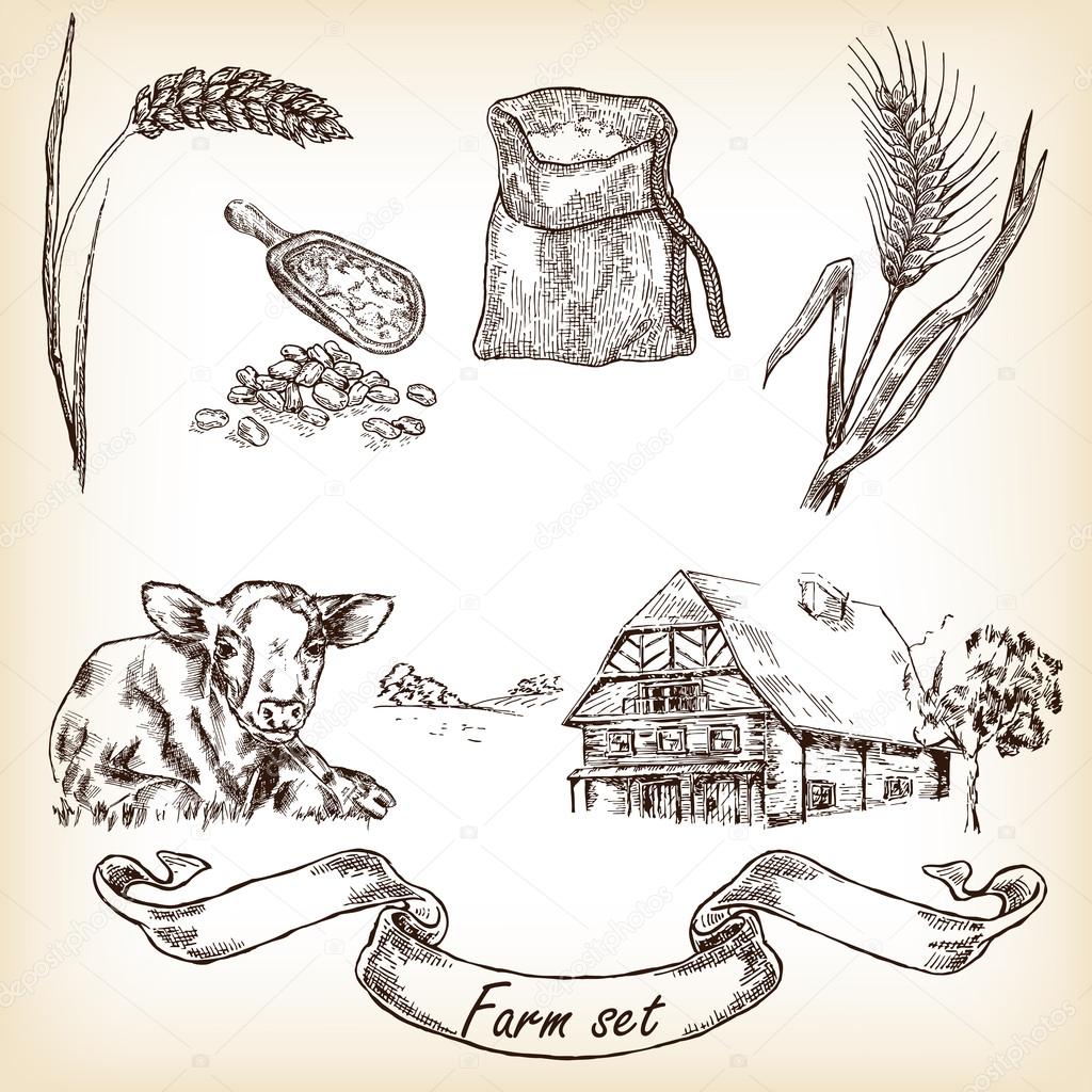 Cow, farm house, sack, grain, meal, wheat. Vector