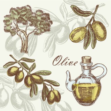 Zeytin ayarlayın. Çizilmiş vektör çizim el