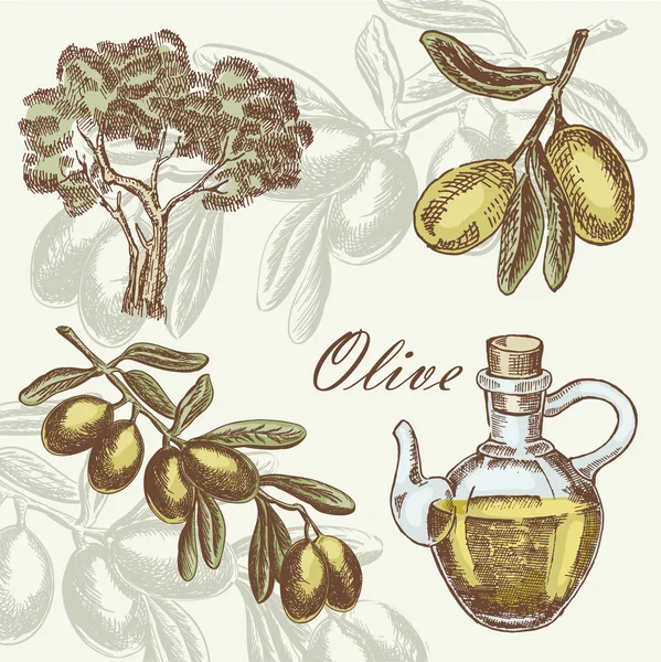 Olive instellen. Hand getrokken vectorillustratie — Stockvector