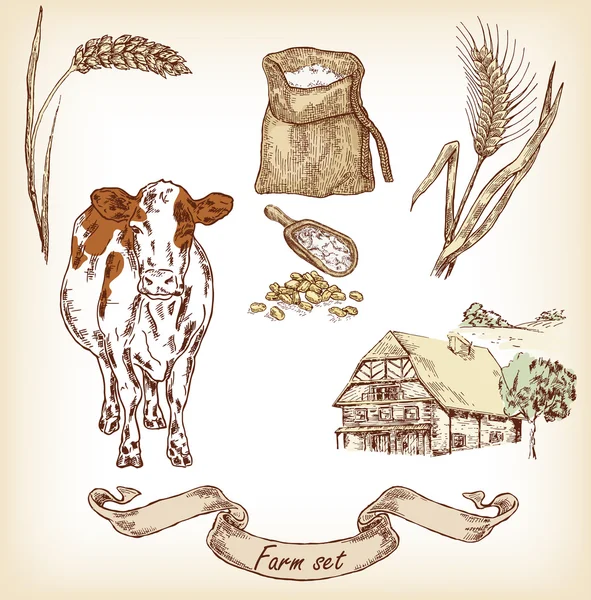 Hand getekend illustratie van koe, huis, zak, graan, maaltijd, tarwe — Stockvector
