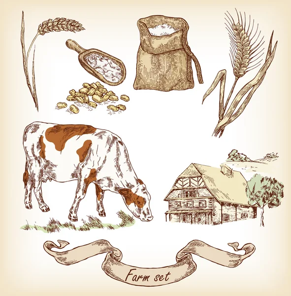 Hand drawn illustration of cow, house, grain, meal, wheat — Stock Vector