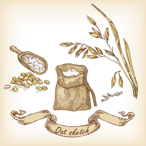 Bakery sketch. Hand drawn illustration of oats and grain