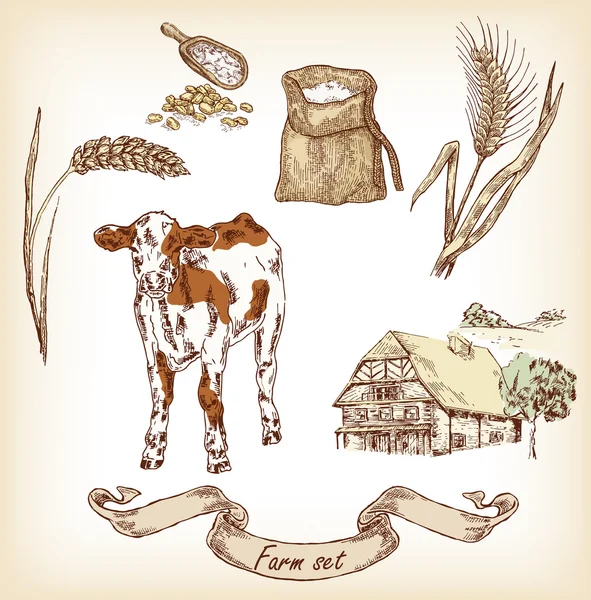 Hand drawn illustration of cow, house, grain, meal, wheat Stock Illustration