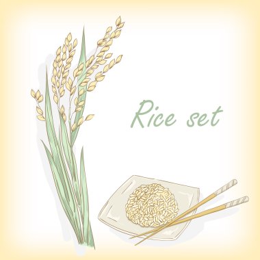 Rice plant, rice porridge. Vector illustration clipart