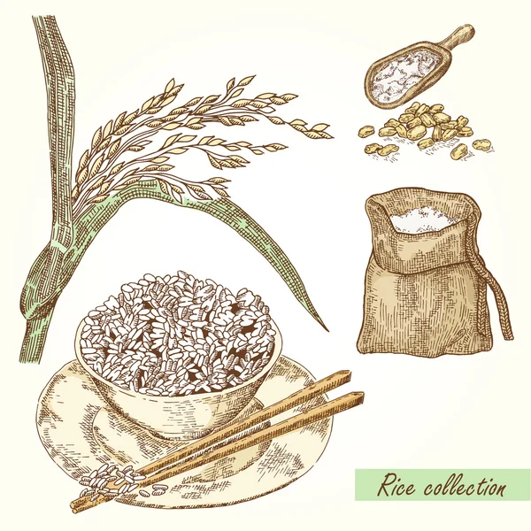 Ensemble de riz. Illustration dessinée à la main de Riz, sac, grain et assiette — Image vectorielle