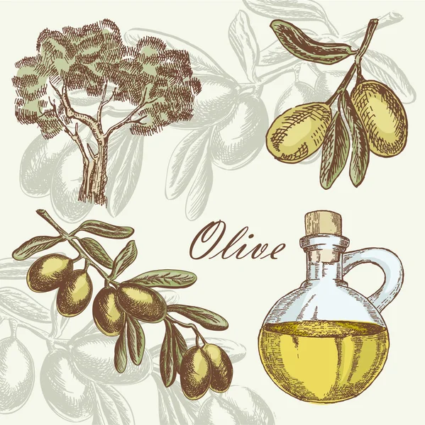 Olive instellen. Hand getrokken vectorillustratie — Stockvector