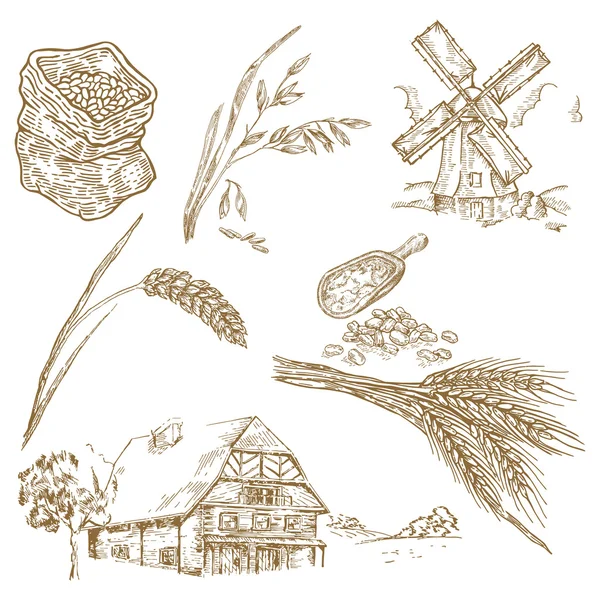 Granen instellen. Hand getekende illustratie windmolen, tarwe, haver, boerderij — Stockvector