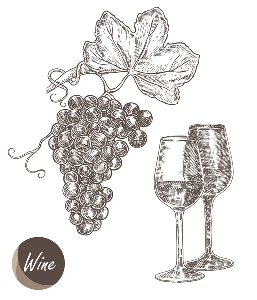 Bouquet de raisins et verres à vin. Illustration vectorielle dans le croquis — Image vectorielle