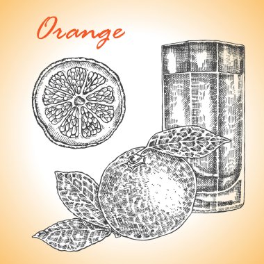 Son derece detaylı elle çizilmiş Orange koleksiyonu.