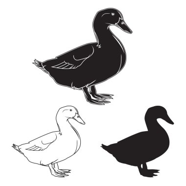 Et sembolleri ayarla domuz, sığır eti, kuzu eti, tavşan, el-çizim suluboya