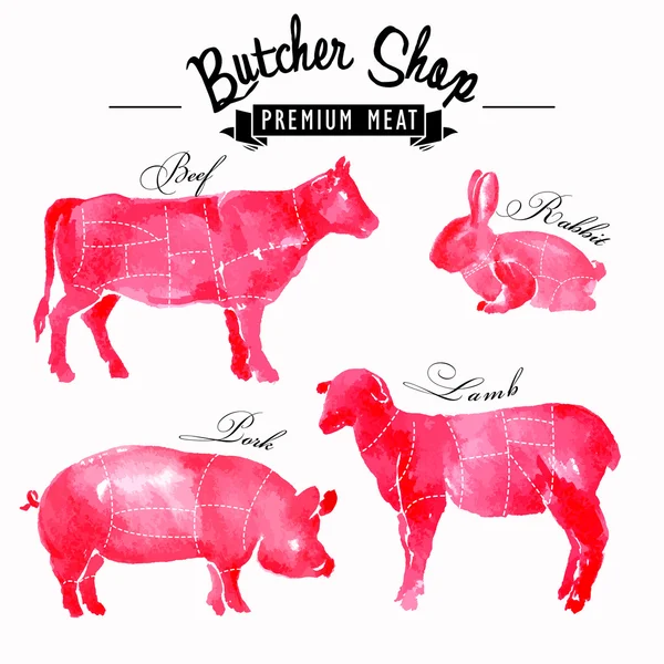 Hús szimbólumok beállítása, sertés, marha, bárány, nyúl, kézi rajz akvarell — Stock Vector
