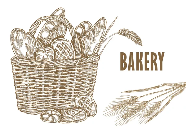 Ручной рисунок хлеба и пшеницы в стиле эскиза — стоковый вектор