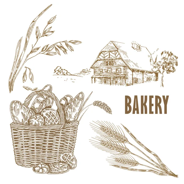 Pão desenhado à mão, fazenda, aveia, trigo —  Vetores de Stock