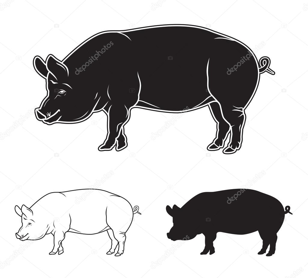 Meat symbols set pork and beef
