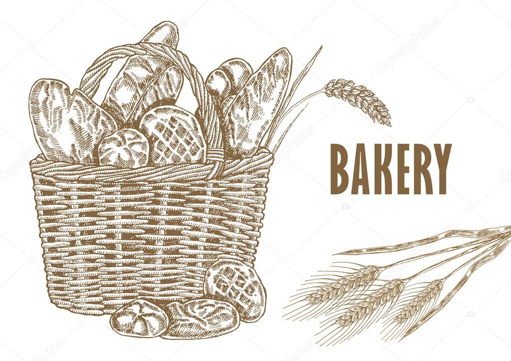 Hand drawm bread and wheat illustration in sketch style