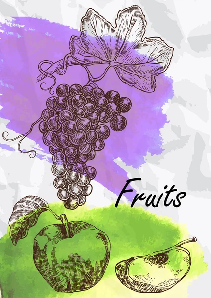 Векторная иллюстрация винограда и яблок . — стоковый вектор