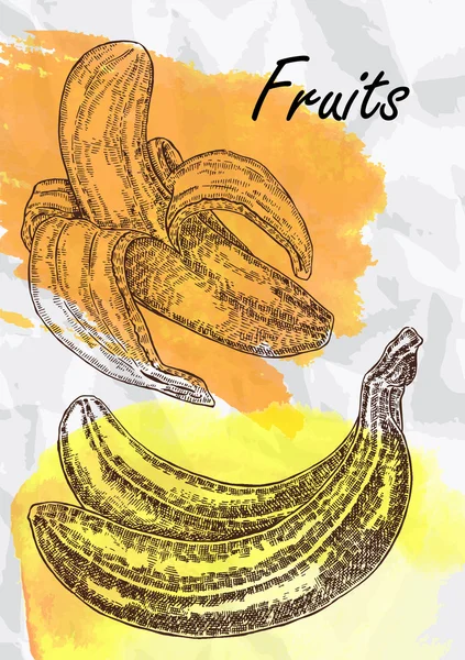 Banán gyümölcsök vektoros illusztráció. — Stock Vector
