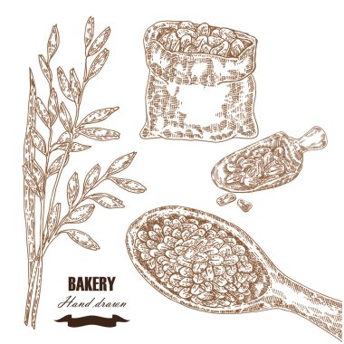 Hububat ayarlayın. El çizilmiş kroki çizim yulaf, tahıl ile çanta