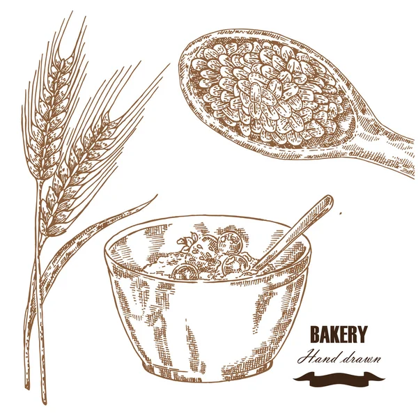 穀物セット。手描きのスケッチ図小麦、大麦、休憩 — ストックベクタ
