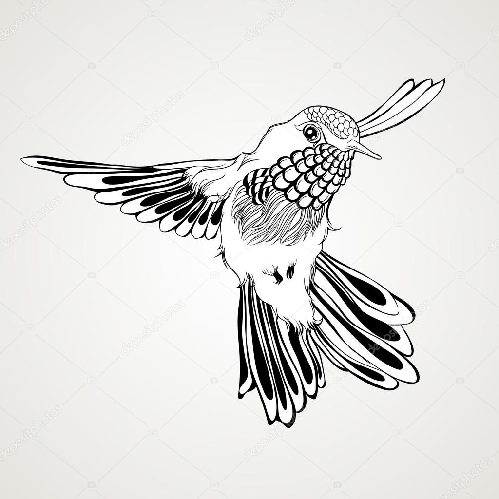 Hand drawn flying humming bird vintage style. Elegant tattoo art. Vector illustration isolated