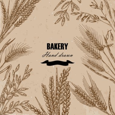 Bread design template. Hand drawn wheat set. Vector illustration in sketch style