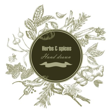 Hand drawn kitchen herbs and spices. Botanical banner set. Vector illustration. Eco food background