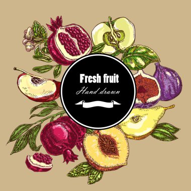 Hand drawn fruits collection. Botanical banner set. Vector