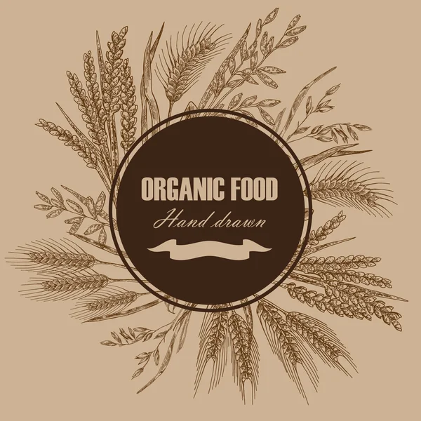 Bakery design template. Hand drawn wheat background. Vector illustration in sketch style