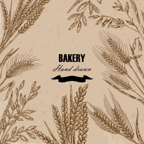 Bread design template. Hand drawn wheat set. Vector illustration in sketch style