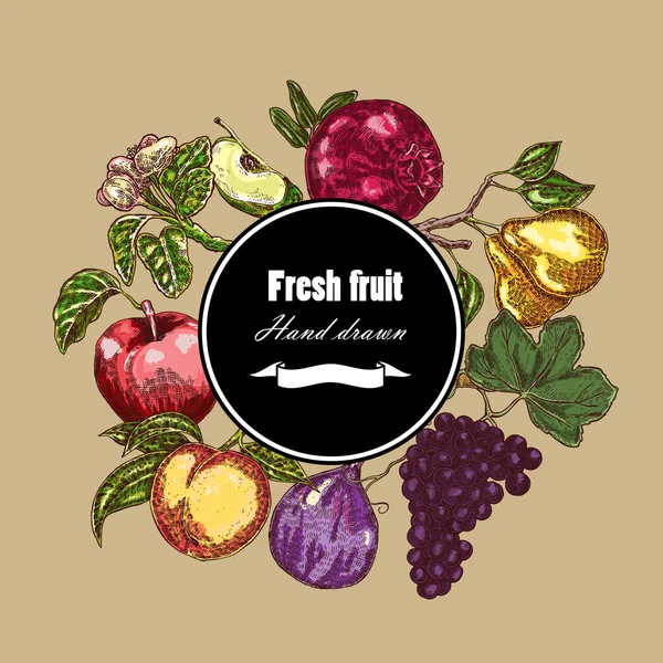 Hand drawn fruits collection. Botanical banner set. Vector — Stock Illustration Hand drawn fruits collection. Botanical banner set. Vector Vector Graphics