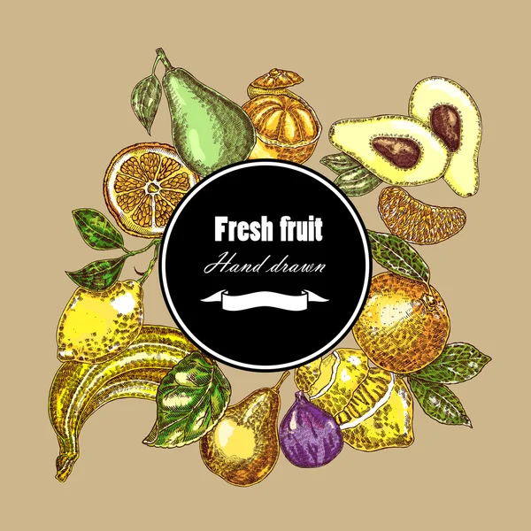 Hand drawn fruits collection. Botanical banner set. Vector — Stock Illustration Hand drawn fruits collection. Botanical banner set. Vector Vector Graphics