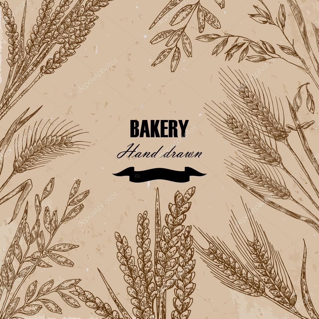 Bread design template. Hand drawn wheat set. Vector illustration in sketch style