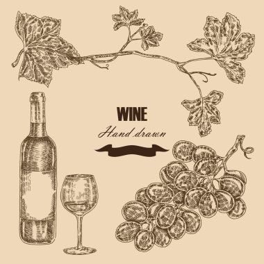 Wine set. Hand drawn bottle of wine, glass, bunch of grapes. Vectoor