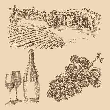Wine set. Hand drawn vineyad, grape and bottle of wine. Vector