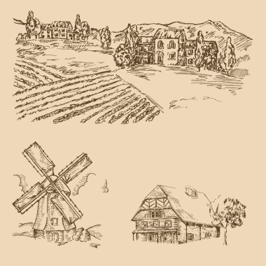 Rural landscape. Hand drawn vineyard, farm house and windmill. Vector