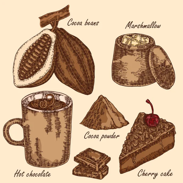Hand drawn cocoa beans. Cocoa pod, chocolate cake, marshmallow — Stock Vector